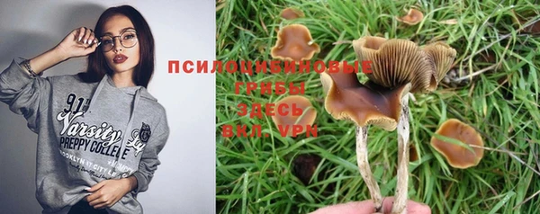 прущие грибы Алексин