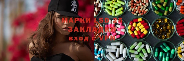 прущие грибы Алексин