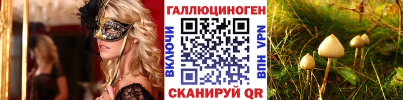 mega как зайти  как найти   Бронницы  Галлюциногенные грибы мухоморы 